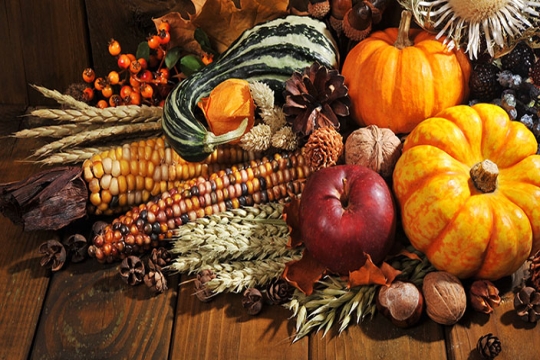 fall harvest 